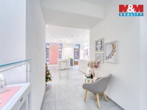 Pronájem obchodního prostoru, Plzeň - Vnitřní Město, Bedřicha Smetany, 116 m2