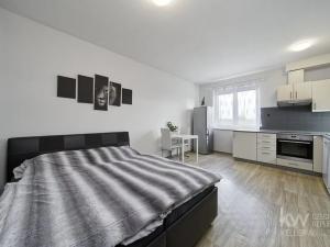 Pronájem bytu 2+kk, Holýšov, Belgická, 46 m2