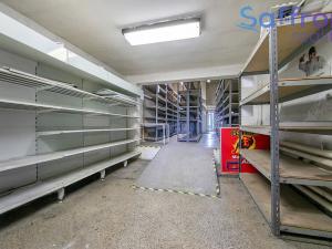 Prodej obchodního prostoru, Plzeň, Bohuslava Martinů, 1257 m2