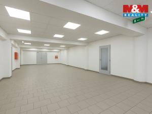 Pronájem kanceláře, Louny, Březinova, 210 m2