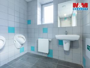 Pronájem kanceláře, Louny, Březinova, 210 m2