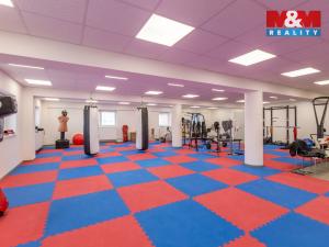 Pronájem kanceláře, Louny, Březinova, 210 m2