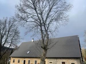 Prodej rodinného domu, Vernéřovice, 280 m2