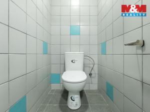 Pronájem obchodního prostoru, Louny, Březinova, 210 m2