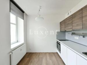 Pronájem bytu 1+kk, Praha - Vinohrady, Lucemburská, 30 m2