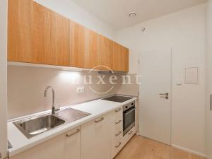 Pronájem bytu 2+kk, Praha - Vinohrady, Lucemburská, 50 m2