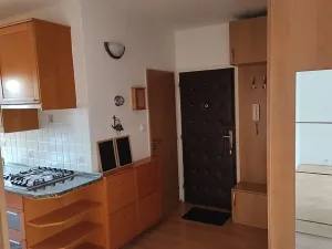 Pronájem bytu 3+1, Brno, Vondrákova, 73 m2
