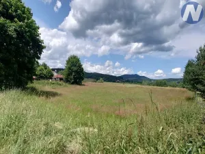 Prodej pozemku pro bydlení, Volary, 1768 m2