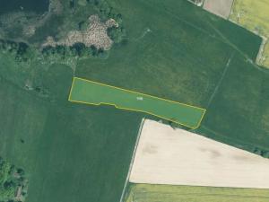 Prodej louky, Bernartice, 7851 m2