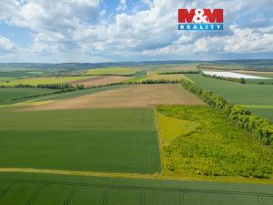 Prodej pole, Šumice, 37901 m2