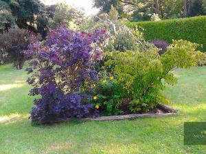 Prodej chaty, Kdyně, 22 m2