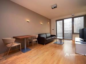 Pronájem bytu 1+kk, Brno, Kopečná, 39 m2