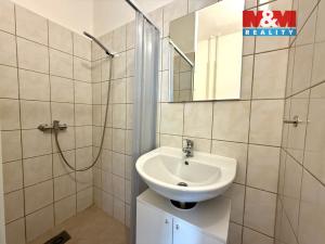 Pronájem bytu 1+kk, Ostrava - Mariánské Hory, Korunní, 25 m2