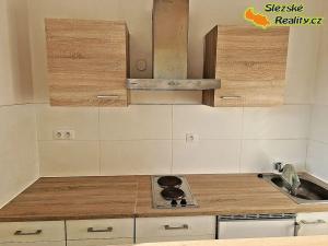 Pronájem bytu 1+kk, Ostrava, Krakovská, 22 m2