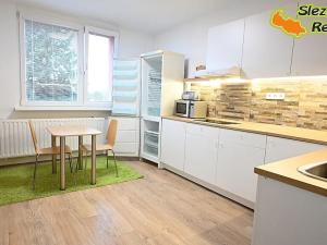 Pronájem bytu 1+1, Paskov, Papírenská, 44 m2