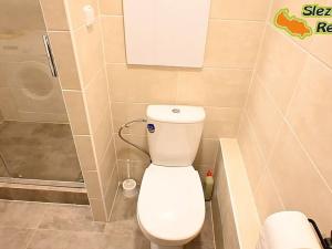 Pronájem bytu 1+1, Paskov, Papírenská, 44 m2