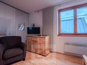 Pronájem bytu 3+kk, Vítkovice, 74 m2