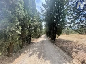 Prodej zemědělské usedlosti, Arezzo, Itálie, 300 m2