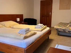 Pronájem pokoje, Kolín, Na Hradbách, 28 m2