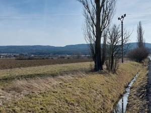 Prodej pole, Všeradice, 42604 m2