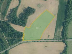 Prodej pole, Velký Bor, 45700 m2