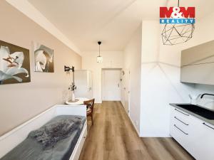 Pronájem bytu 1+kk, Praha - Košíře, U Tyrše, 19 m2