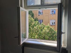 Pronájem bytu 2+kk, Praha - Žižkov, Žerotínova, 46 m2