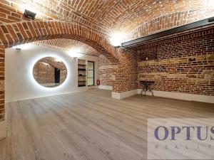 Pronájem bytu 5+kk, Praha - Staré Město, Dušní, 172 m2