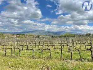 Prodej vily, Monte San Savino, Itálie, 250 m2