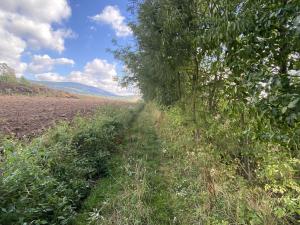 Prodej lesa, Lánov - Horní Lánov, 4009 m2