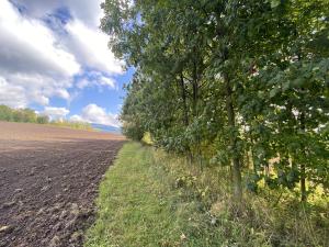 Prodej lesa, Lánov - Horní Lánov, 4009 m2