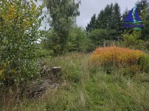 Prodej pozemku pro bydlení, Seč, 2067 m2