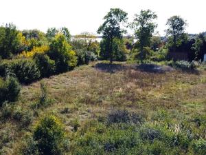 Prodej pozemku pro bydlení, Česká Skalice, 2713 m2