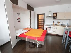 Pronájem bytu 1+kk, Praha - Vysočany, Podkovářská, 31 m2