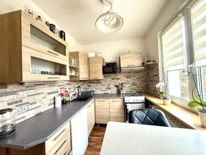 Pronájem bytu 2+1, Nová Role, 1. máje, 59 m2