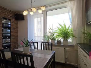 Prodej bytu 3+1, Mokrá-Horákov, 72 m2