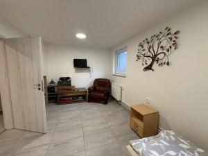 Pronájem rodinného domu, Brno, 150 m2