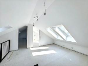 Prodej bytu 4+kk, Praha - Karlín, 200 m2