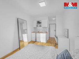 Prodej bytu 1+kk, Praha - Vysočany, U Lidového domu, 17 m2