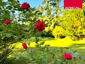 Prodej rodinného domu, Kamenice, Lomená, 157 m2