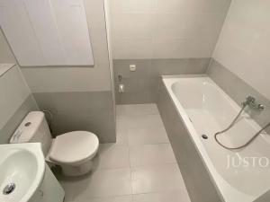 Pronájem bytu 2+1, Teplice, Alejní, 50 m2