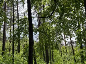 Prodej pozemku, Český Dub, 19364 m2