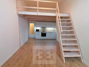 Pronájem bytu 1+kk, Ostrava, Palackého, 30 m2