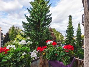 Prodej bytu 3+1, Kolín, Jateční, 68 m2