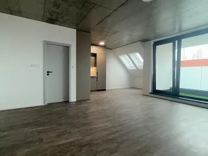 Pronájem bytu 1+kk, České Budějovice, Štítného, 44 m2
