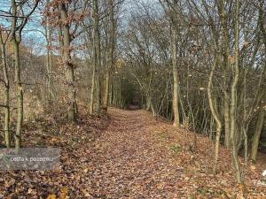 Prodej pozemku, Jílové u Prahy, 3438 m2