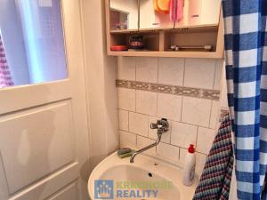 Prodej rodinného domu, Rudník, 245 m2