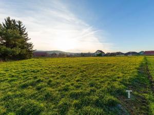 Prodej pozemku pro bydlení, Hlízov, 3636 m2