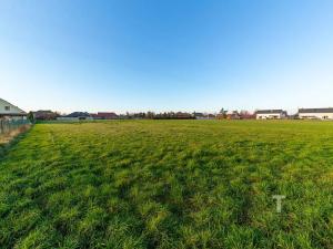 Prodej pozemku pro bydlení, Hlízov, 3636 m2