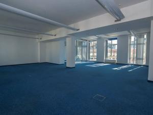 Pronájem kanceláře, Praha - Karlín, Thámova, 860 m2